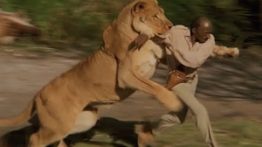 بهترین حمله حیوانات نبینی ضرر کردی