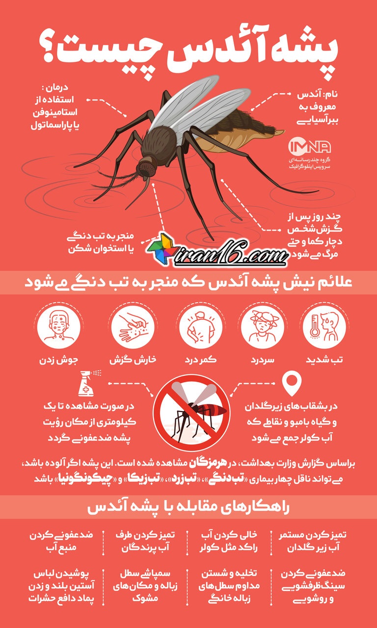 پشه آئدس و بیماری تب دنگی